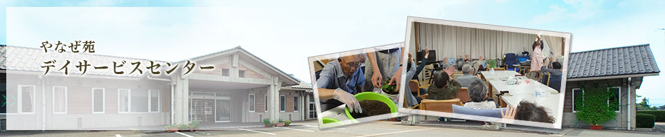 ��Ȃ����f�C�T�[�r�X